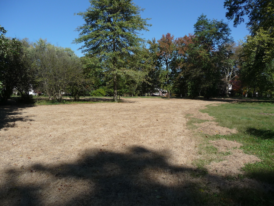 TG Park sprayed Sept’21 #2